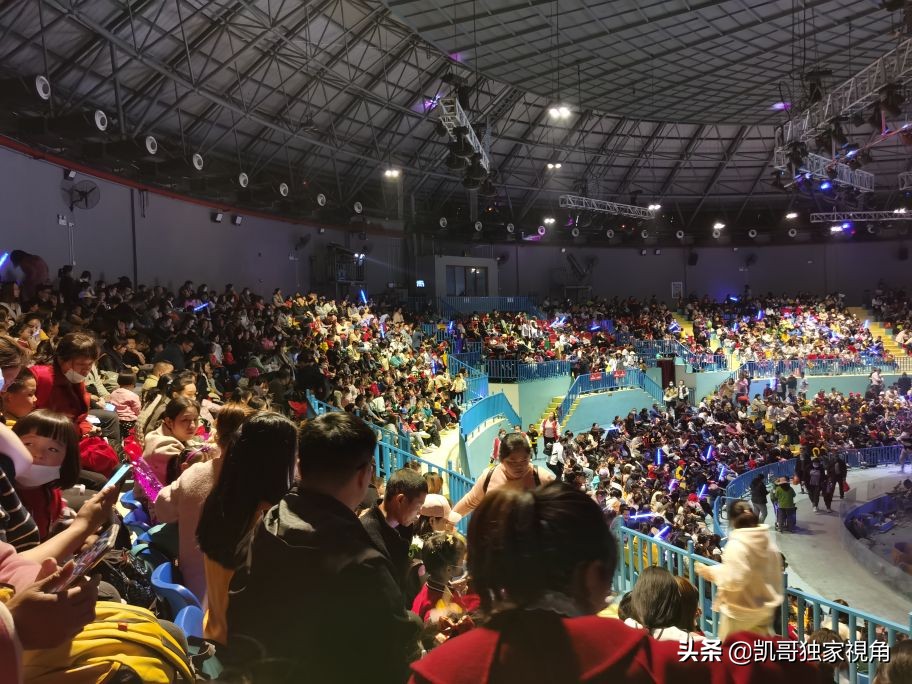 不一样的南通动物园,南通森林野生动物园和上海动物园