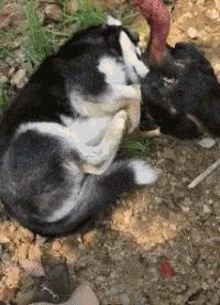 搞笑的冷笑话最好能笑死,非常搞笑的冷笑话大全