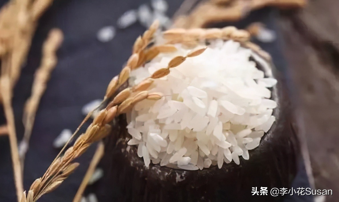 跟大米厂家怎么说你的营销方案,公司大米全员营销方案