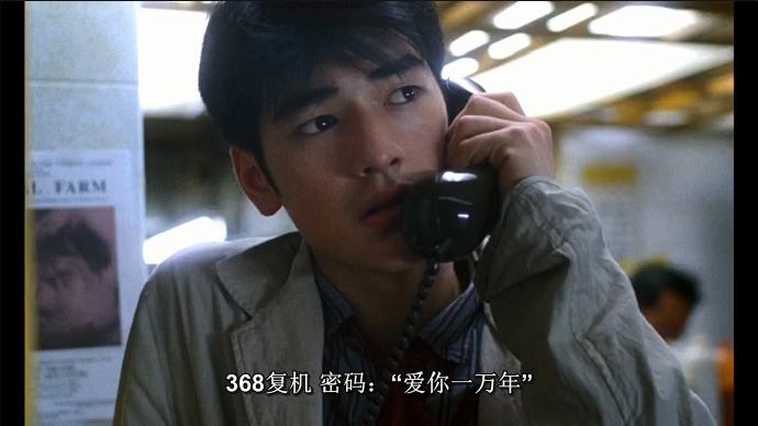 来看看重庆森林,走进真实的重庆森林