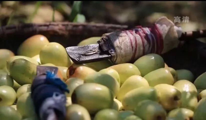 金丝蜜枣是怎么做成的,金丝蜜枣是怎么制成的