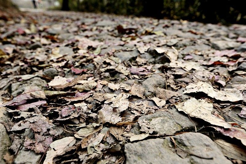 东钱湖徒步路线哪条最美,东钱湖附近有哪些免费古道