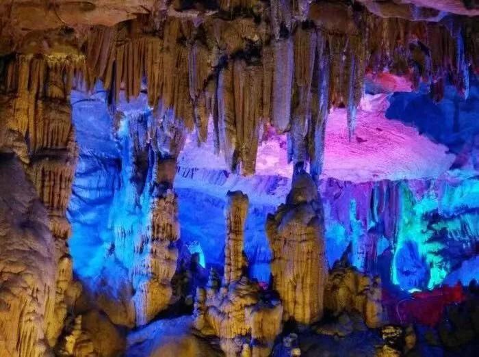 贺州新春节活动安排,贺州元宵节活动