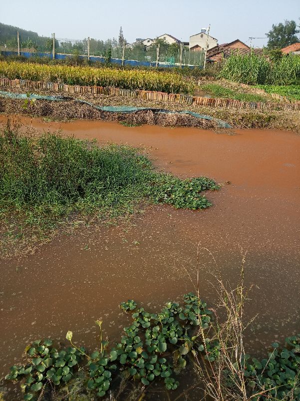 农村出嫁女因为土地吵架如何解决,农村嫁出去的女儿没有土地
