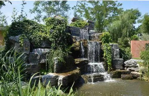 笑谈种树的艺术——看园林专业的魅力