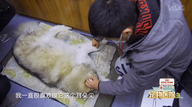 b站高分历史纪录片,2分钟一集的b站纪录片