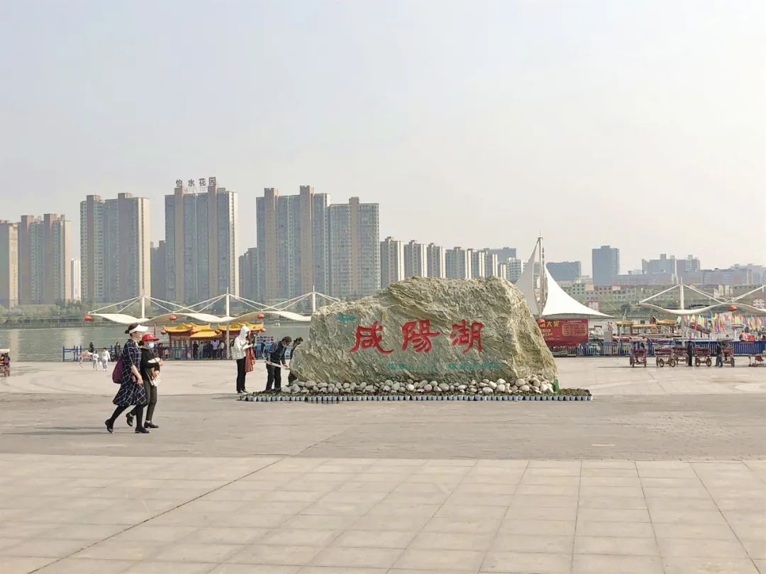 太美了花海随拍,咸阳郁金香在哪