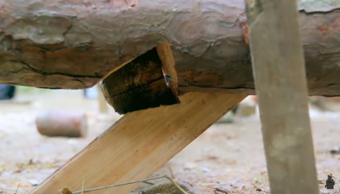 爷爷版李子柒视频评价,农村小伙子李子柒视频