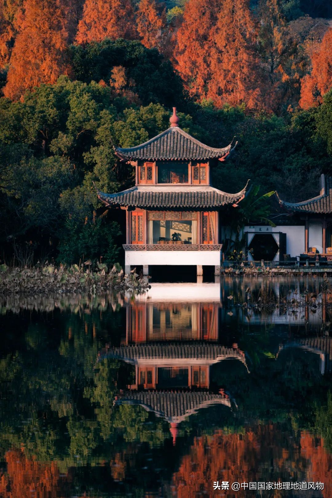 中国夏天地图全图,中国秋色地图