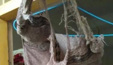 男人的屁股是什么做的，能把*裤内**穿出洞？