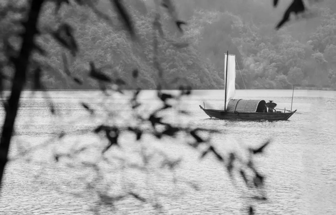 云雾奇观,自然云雾奇观