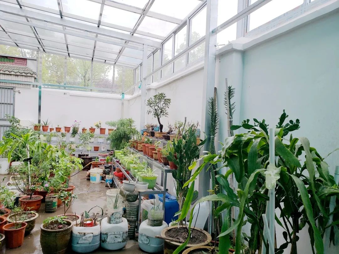 风景好的地方江阴,江阴好风景