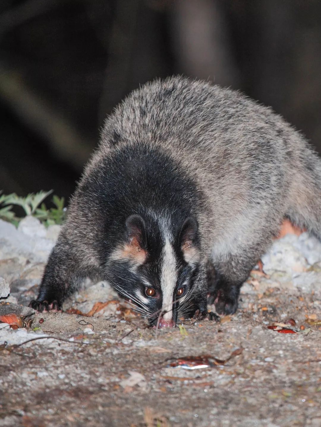 感染病毒后的168小时,你的体内都发生了什么?