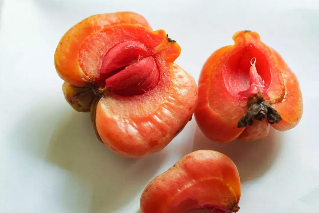 他的工作是厨师的英文,他的工作是什么英文句子