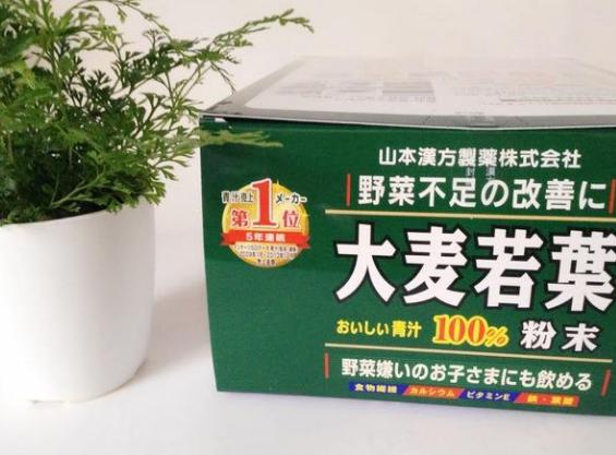 去日本必须购买的小电器,去日本买的东西