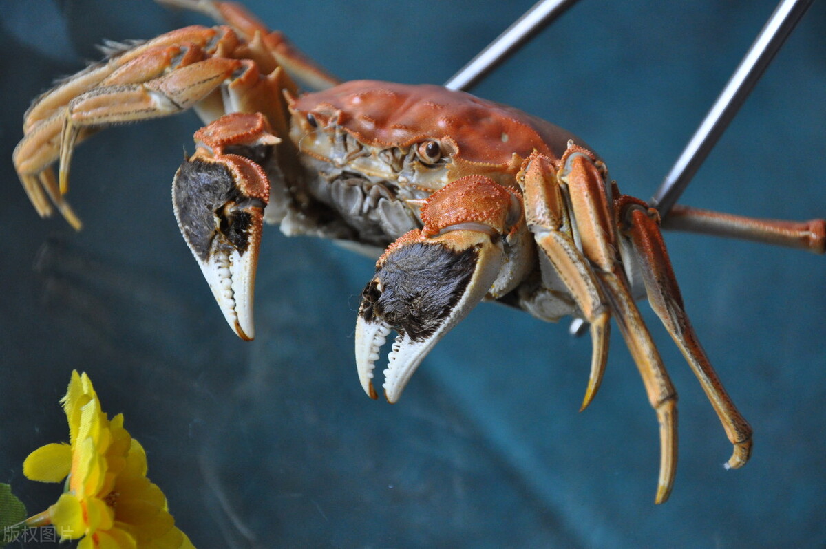 夜钓怎么才能钓到鱼,夜钓碰见这种情况怎么办