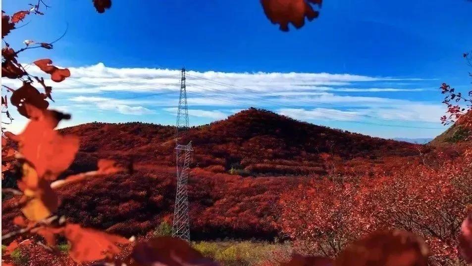 江浙沪五一亲子推荐,北上蓉附近亲子活动