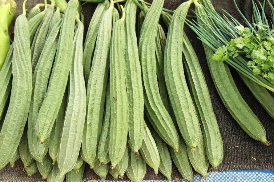 葫芦科蔬菜特点图,葫芦类蔬菜有哪些