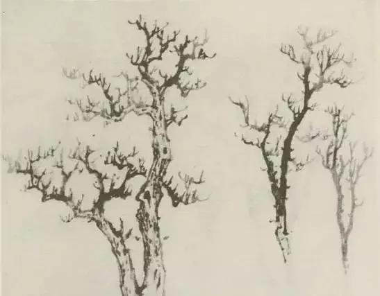 缠枝、挺杆、屈节、钮裂、一棵树如何画？看了这篇你绝对能学会