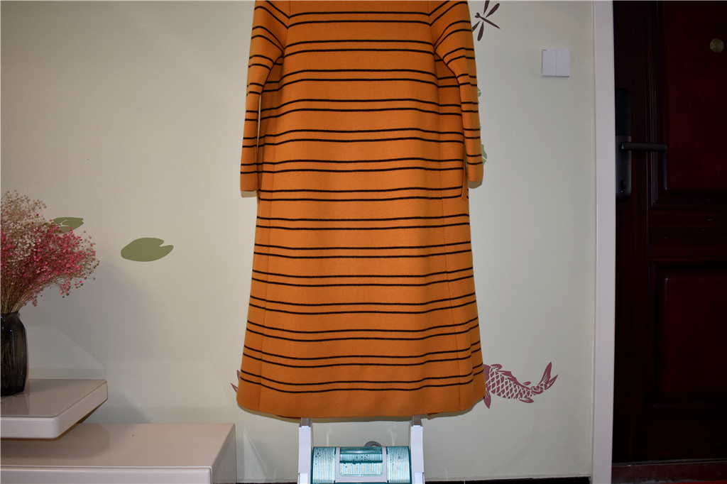 卓力bg546挂烫机,卓力增压智能挂烫机bg538pl