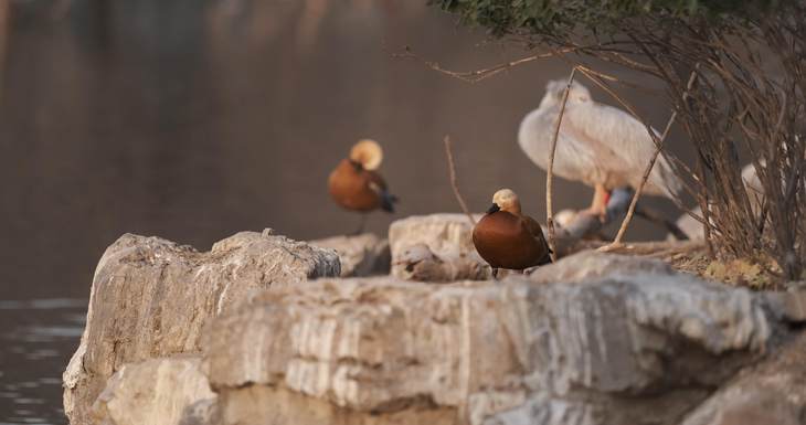 富士xt3有哪些变焦镜头推荐,富士x-t30xc35套机拍照