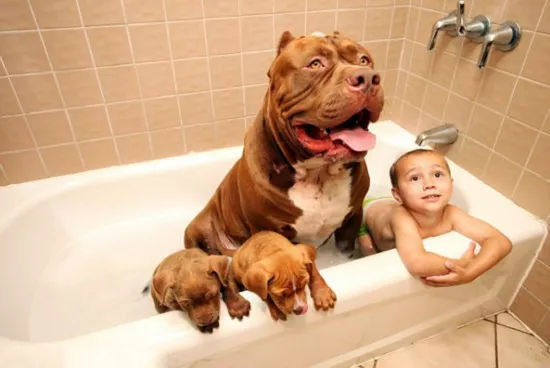 【话题讨论】这类事你们怎么看？