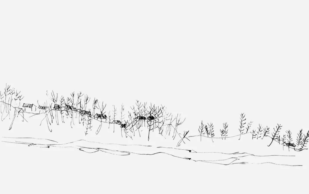 论沈从文乡愁,沈从文的乡情