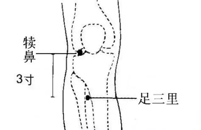 五脏的养生方法包括哪些方面,五脏健康保健秘诀