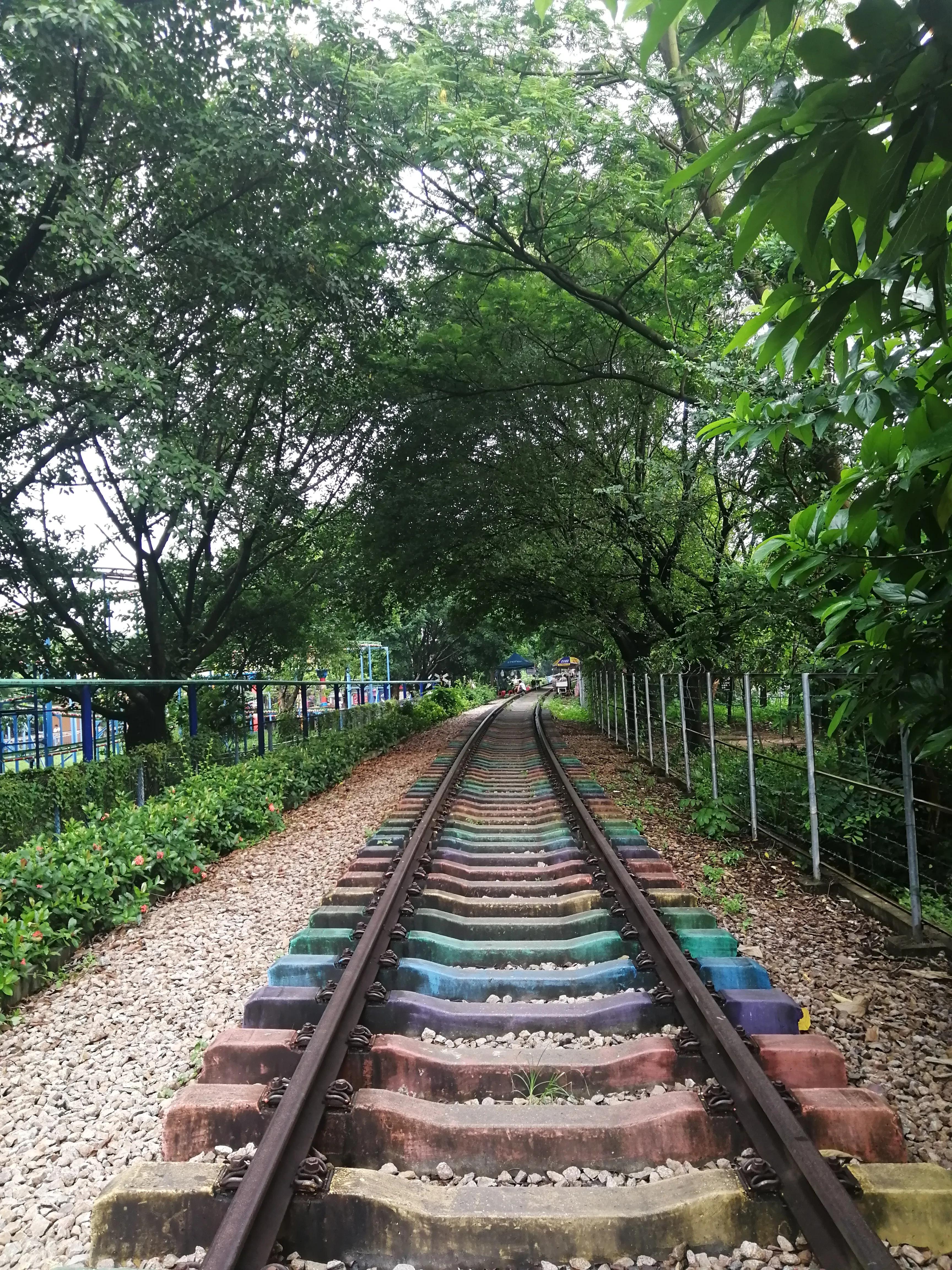 偌大的城市我的栖身之处在何处,偌大的城市容不下一个漂泊的灵魂