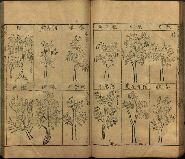 李时珍与本草纲目ppt课件,神农本草经正版李时珍书籍