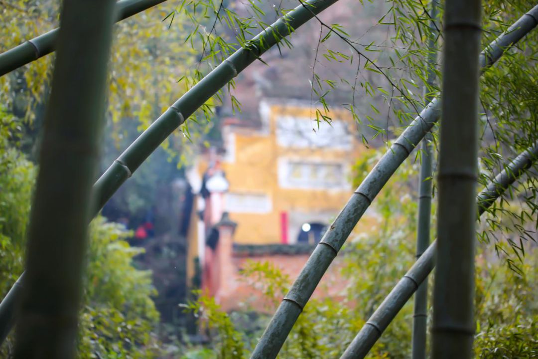 金华泡温泉地方推荐,金华泡温泉攻略