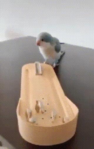 股市利好落地的搞笑视频,大盘反弹了搞笑图