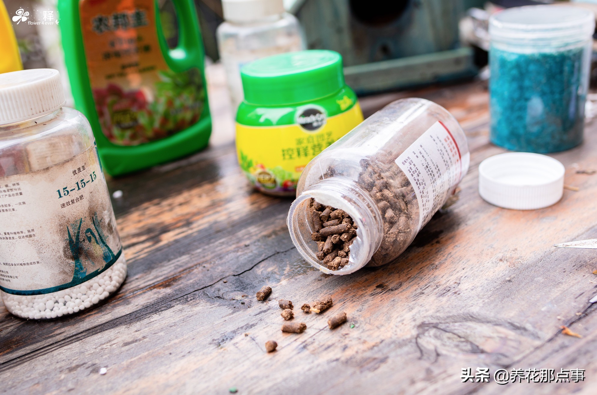 十大骗人的肥料排名,特别便宜的花多多水溶肥真的假的