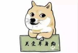 皇家和渴望狗粮,夹心狗粮伯纳天纯