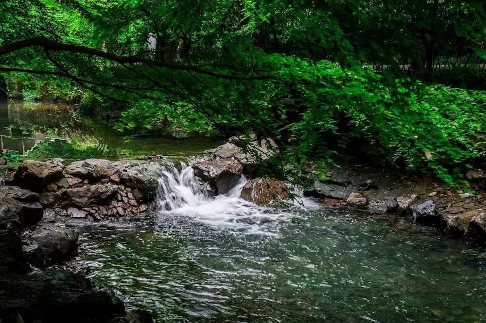 第一次来苏杭旅游必看本地人建议,新手玩游戏的必看