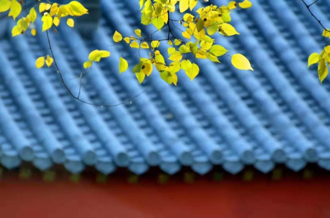 小长假的第二天视频,小长假5天旅游攻略