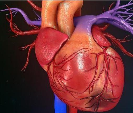 古代中医怎么治疗冠心病,大禹治水中的治应该怎么解释