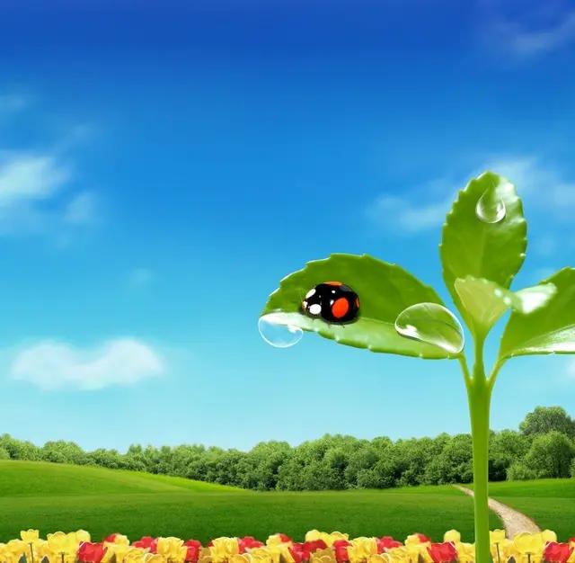 头条教你快速加v,今日头条训练营怎么加v