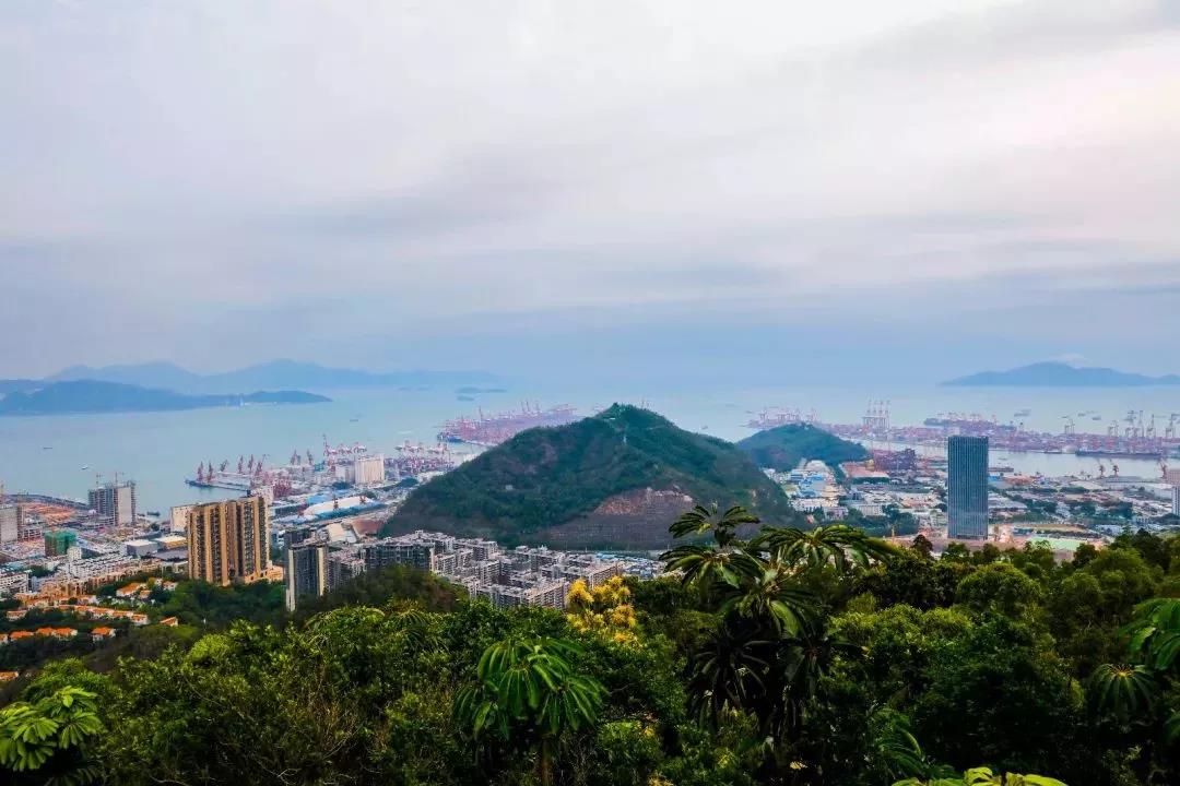 深圳遛娃必去的50个主题公园,深圳亲子游十佳去处免费