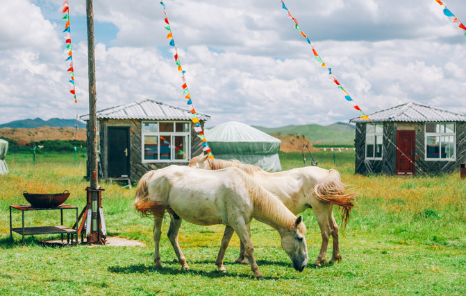 若尔盖5日游推荐,成都九寨沟黄龙若尔盖深度游