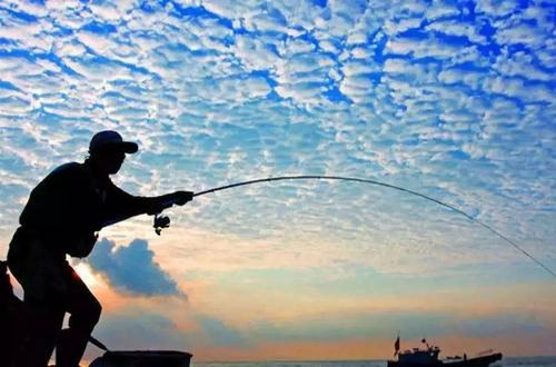 路亚竿上的数据参数怎么看,新手入门路亚如何选择钓竿