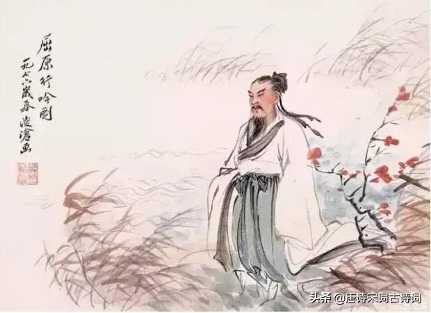 菊花节重阳节,重阳节菊花节