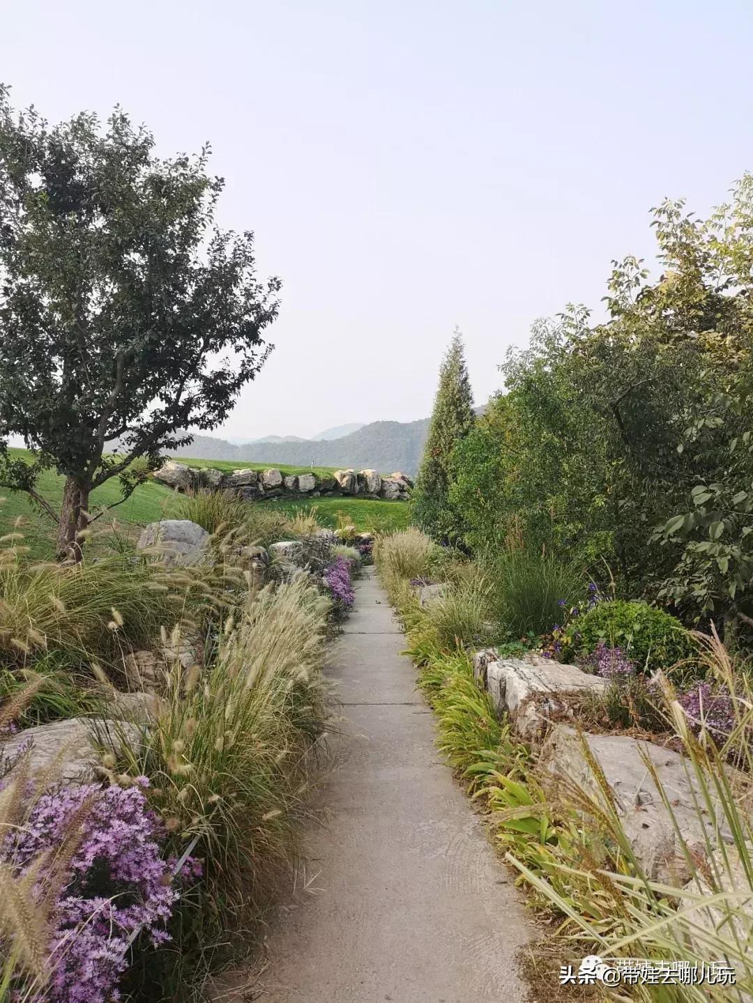 北京最有度假感的酒店，就在金海湖