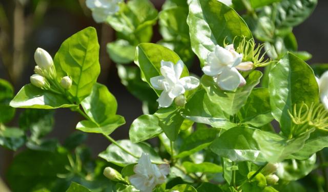 精致实用家居好物推荐,精致实用的家居好物推荐视频