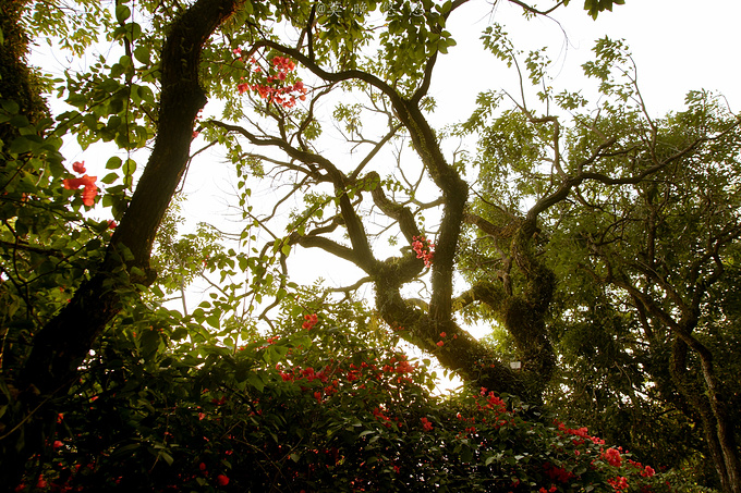 广州巴厘岛免费景点,广州温泉度假攻略