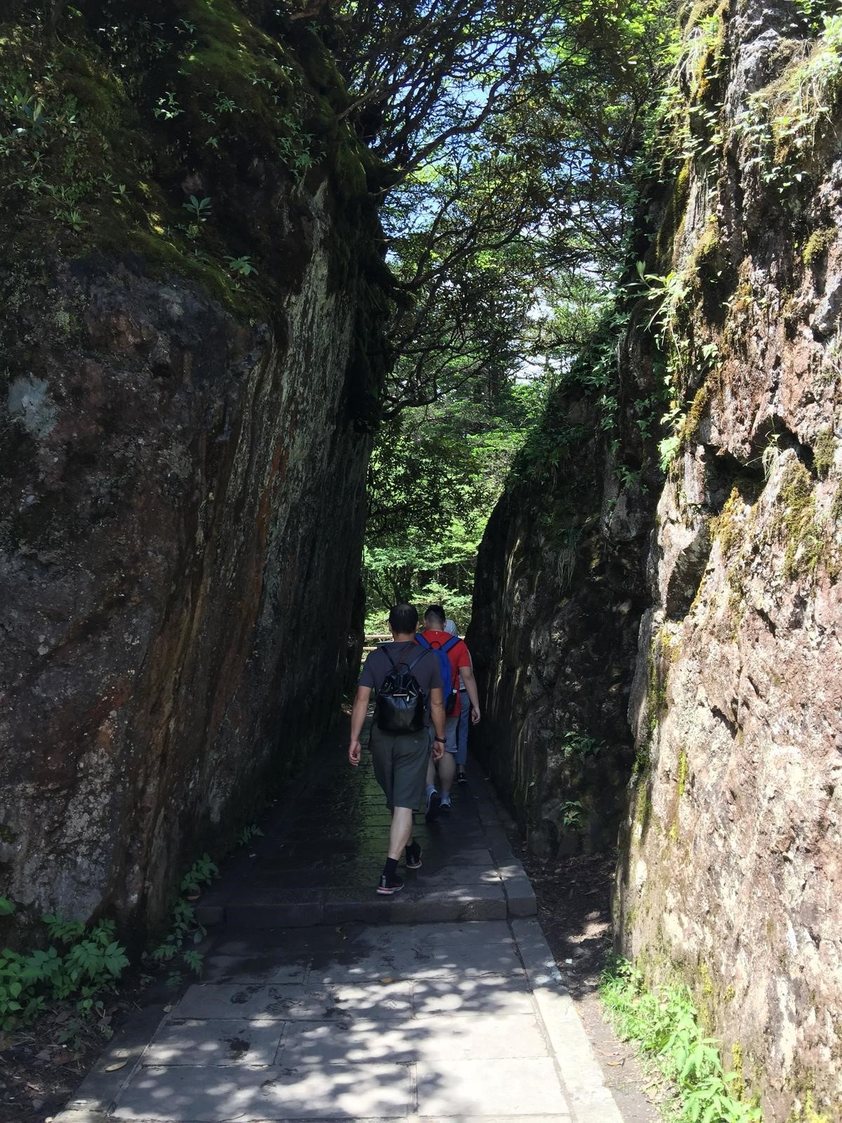 峨眉山登顶佛像,峨眉山登顶记完整版