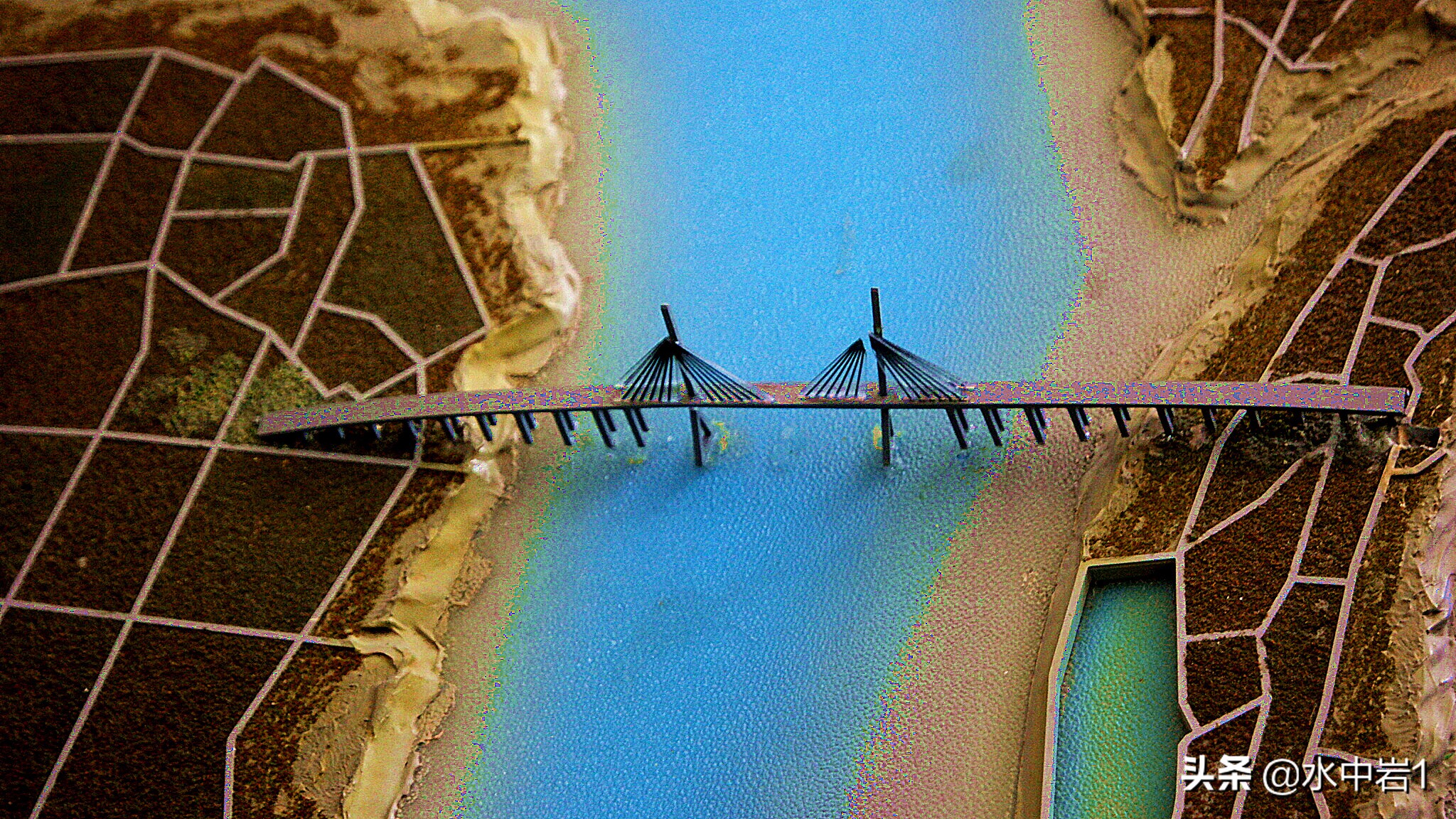 长江流域湿地生态环境保护,长江流域环境保护成果