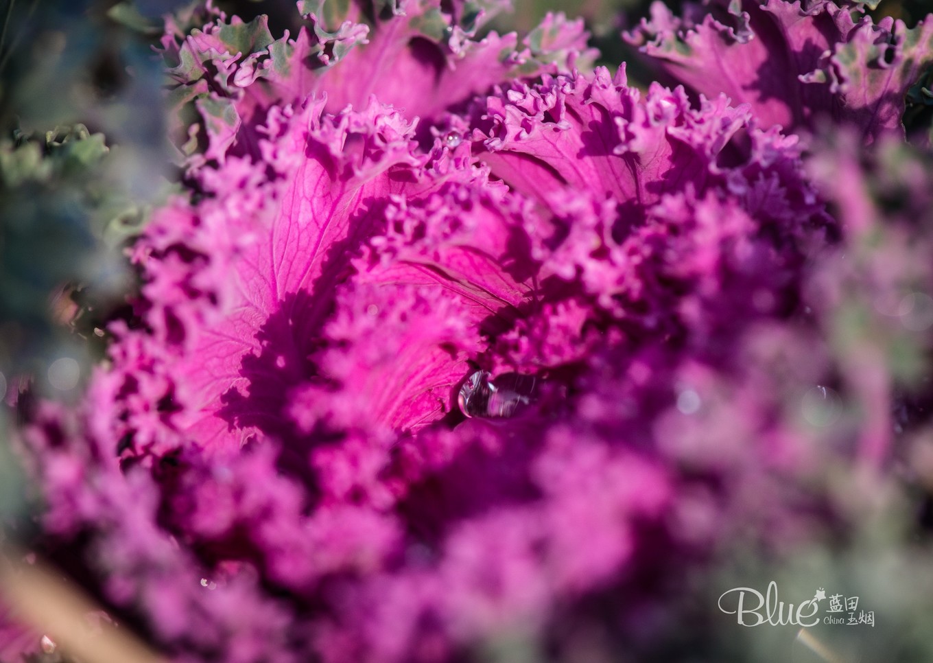 最有灵性的古佛寺,国内最美佛寺排行榜前十