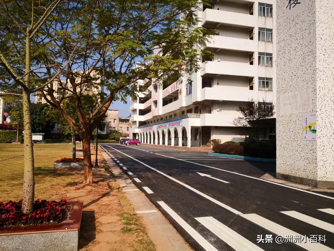 新兴县华侨中学学校介绍,新兴华侨中学历史