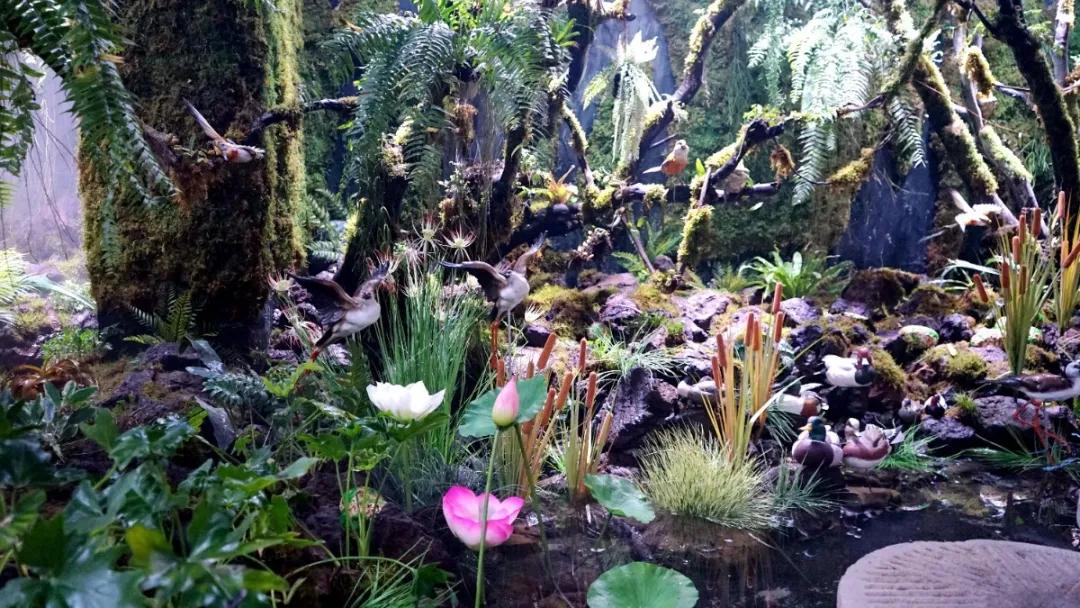 瞒不住了，孙悟空来聊城了，还带着“花果山”